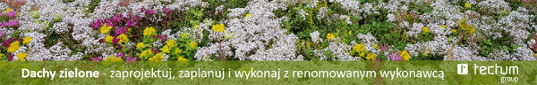 Pobierz obrazki