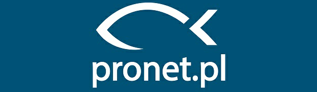 pronet usługi informatyczne