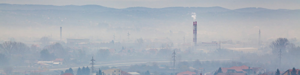 Pobierz obrazki