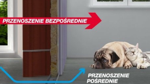 Pobierz obrazki